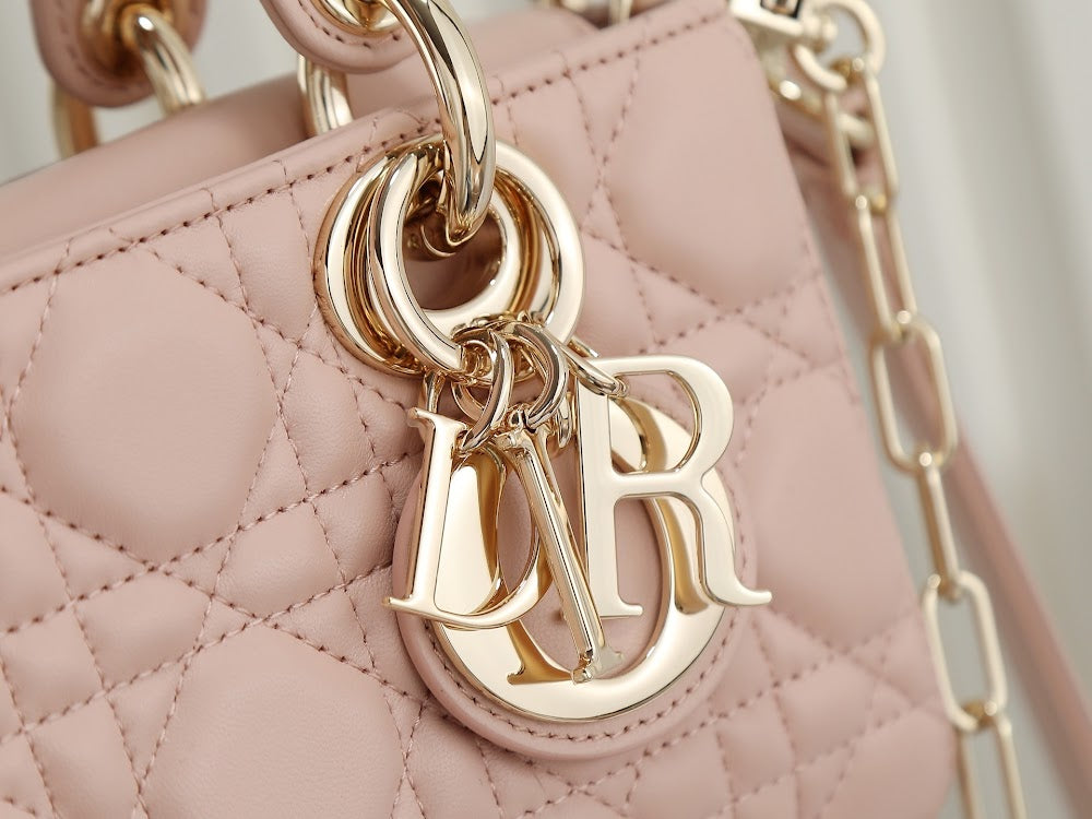 Ezyycart Bags Diorn Luxury Bag --114849