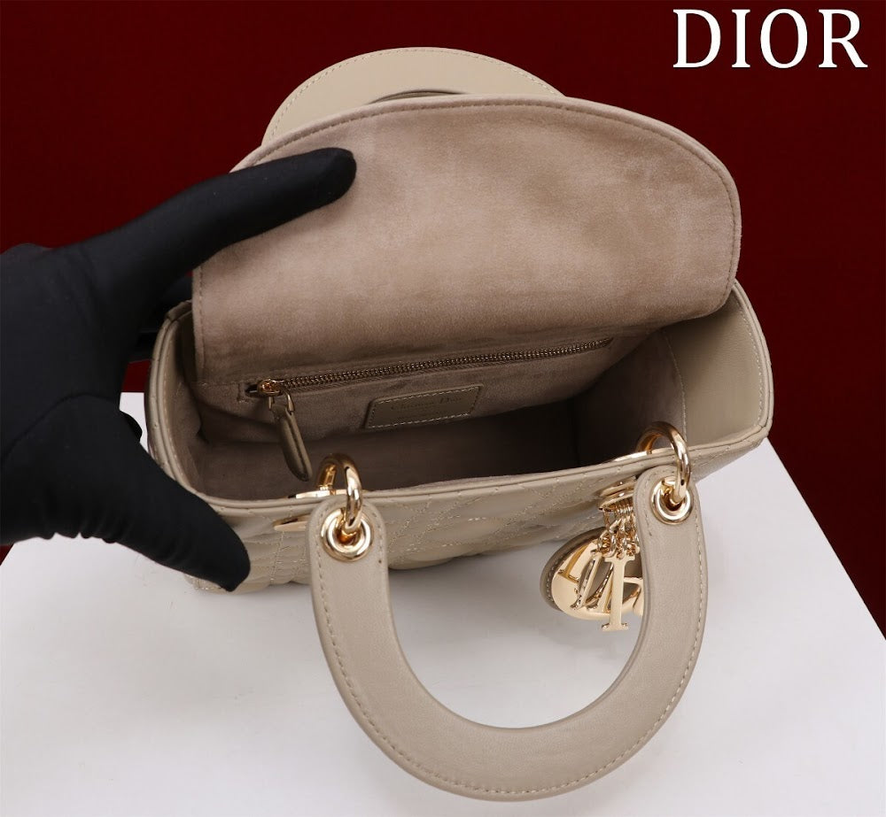 Ezyycart Bags Diorn Luxury Bag --115933