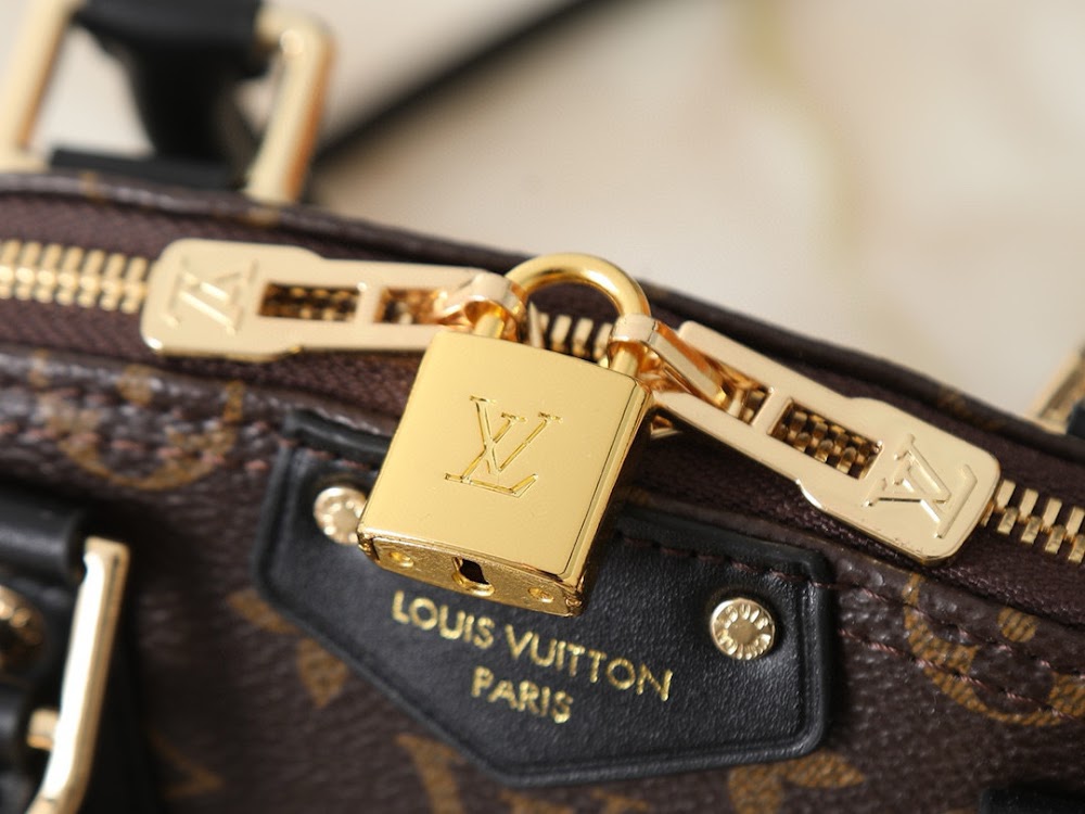 Anum Bags LVn Luxury Bag --79902