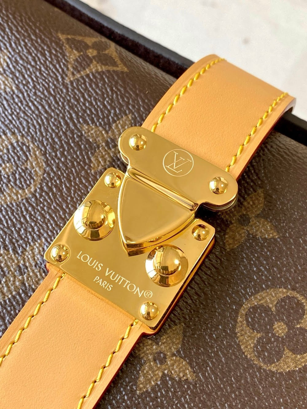Anum Bags LVn Luxury Bag --79365