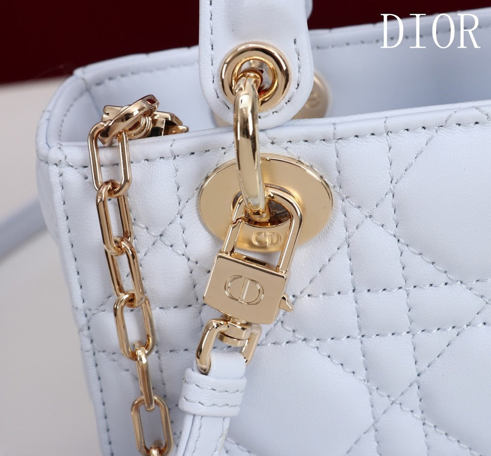 Ezyycart Bags Diorn Luxury Bag --116488