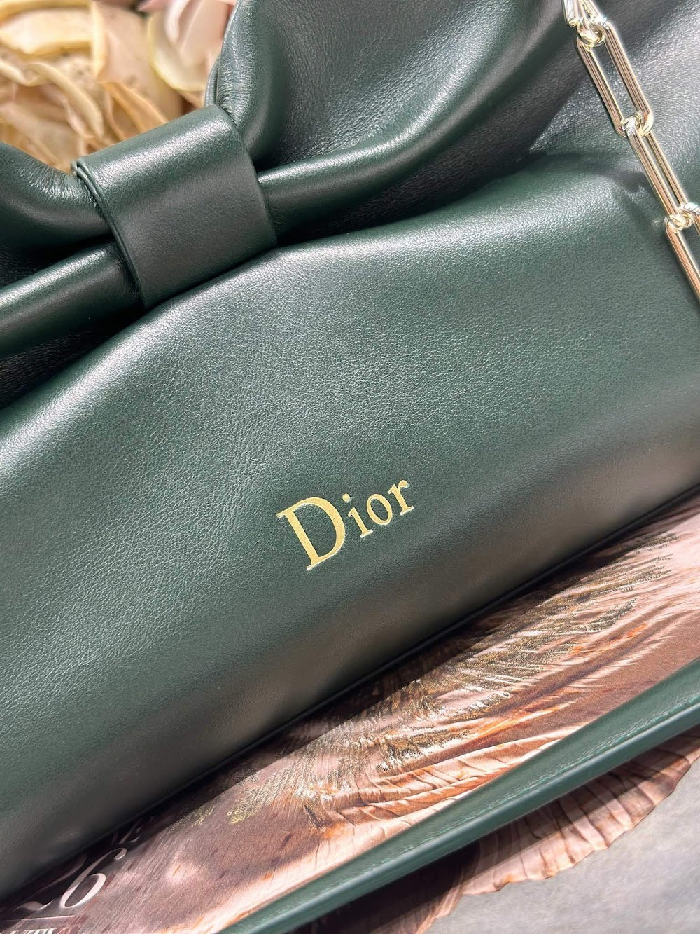 Ezyycart Bags Diorn Luxury Bag --115589