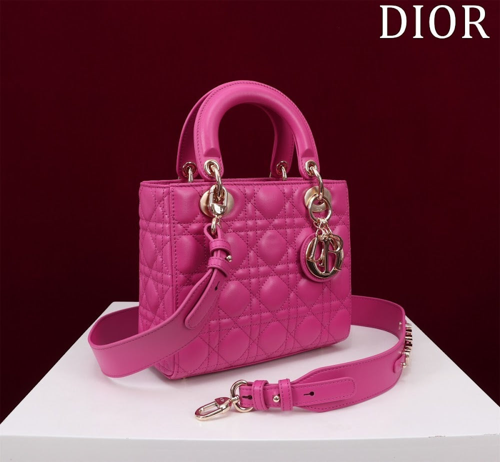 Ezyycart Bags Diorn Luxury Bag --115913