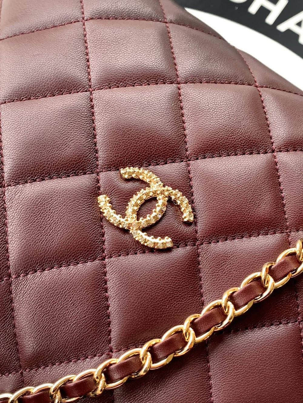 Anum Bags CHn Luxury Bag --112788