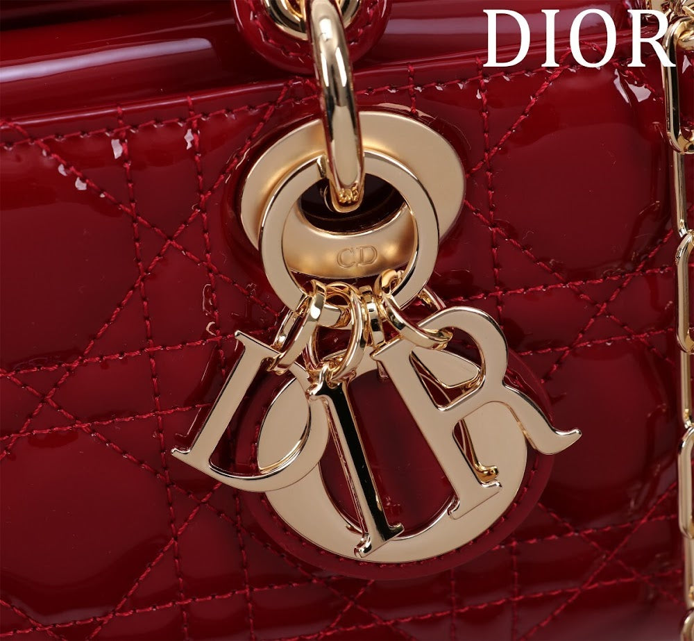 Anum Bags Diorn Luxury Bag --114784