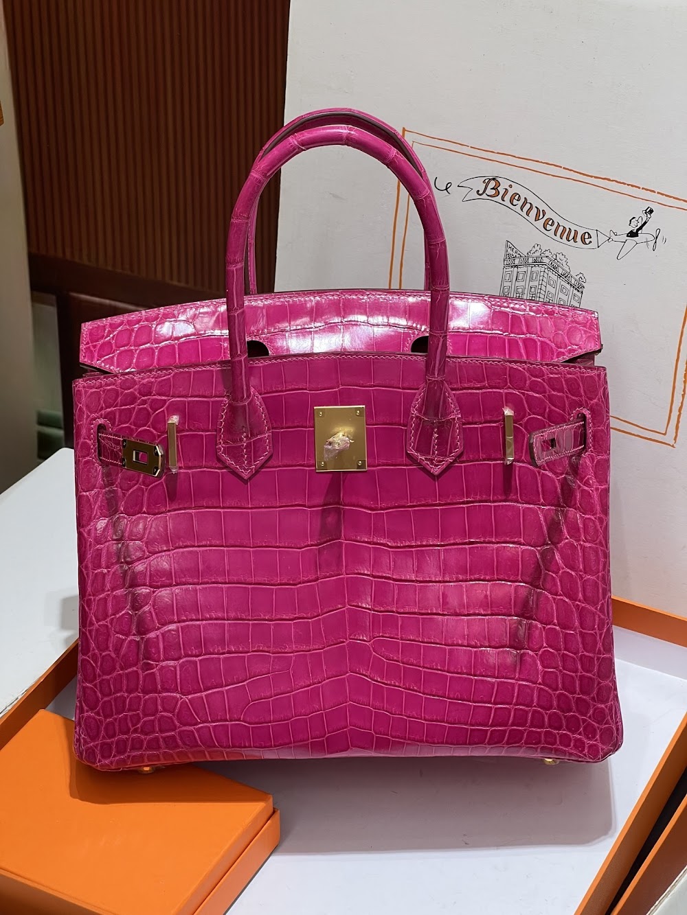Anum Bags Hermesn Luxury Bag --117233