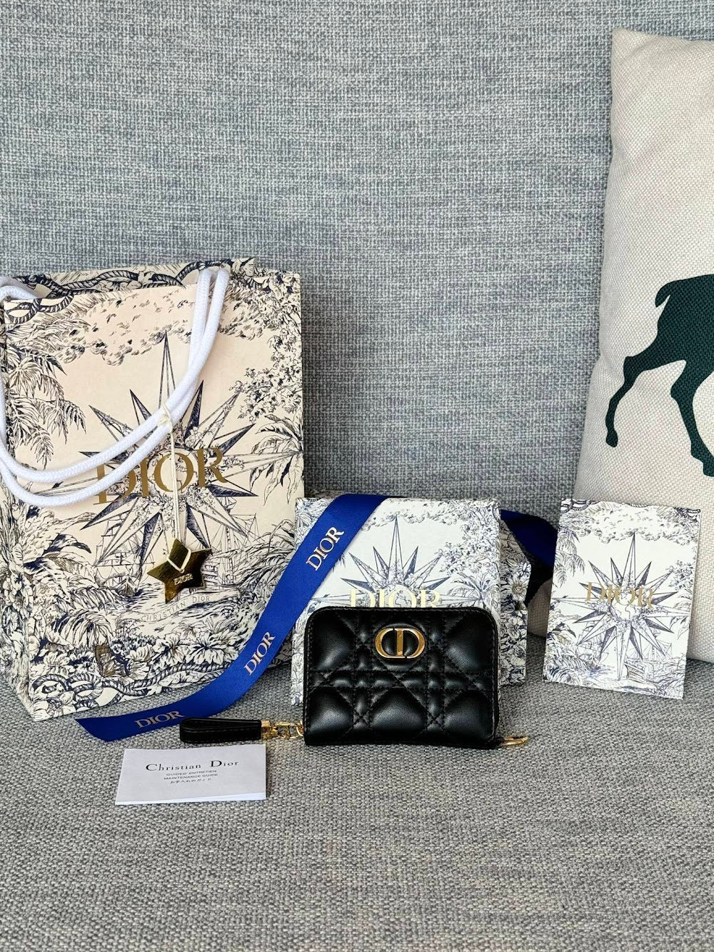 Anum Bags Diorn Luxury Bag --114565