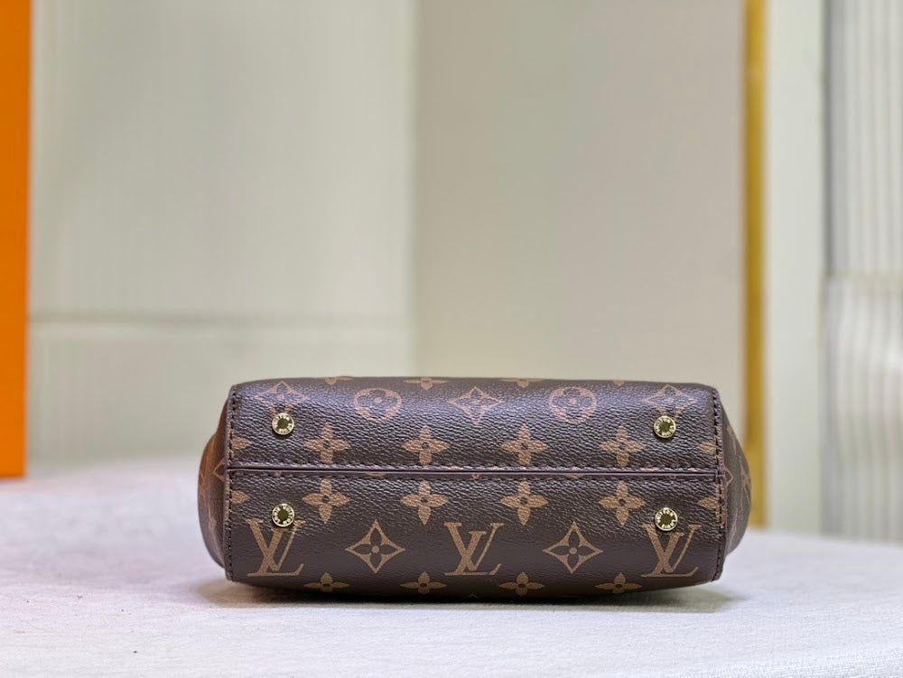 Anum Bags LVn Luxury Bag --80563