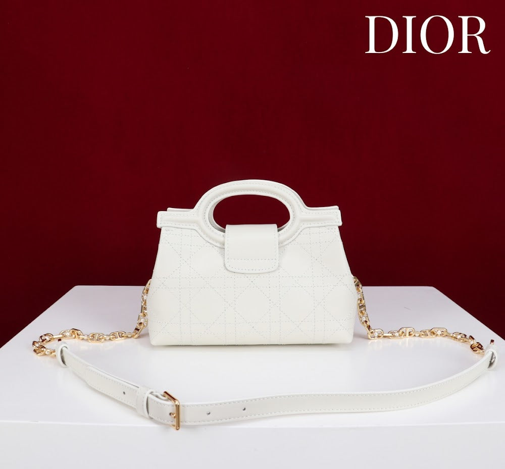 Anum Bags Diorn Luxury Bag --114555