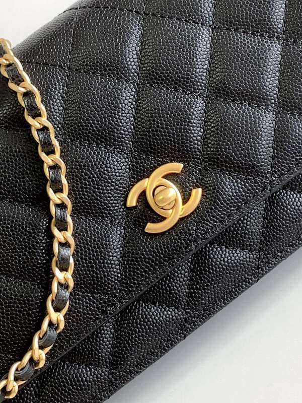 new-elite-designer-bags-nm20156