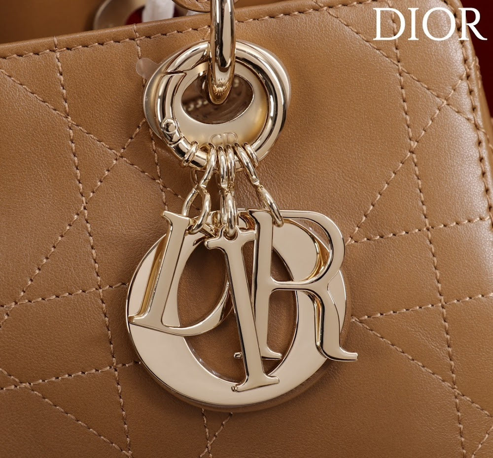 Ezyycart Bags Diorn Luxury Bag --115378