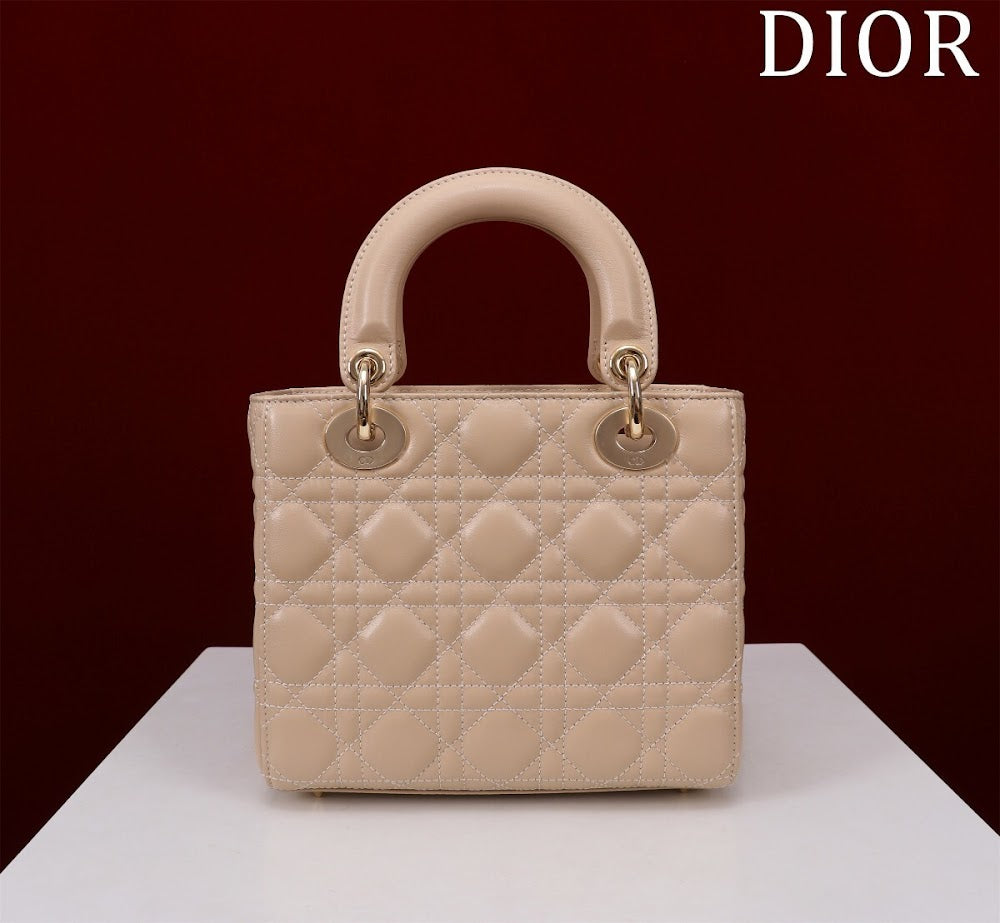 Ezyycart Bags Diorn Luxury Bag --115932
