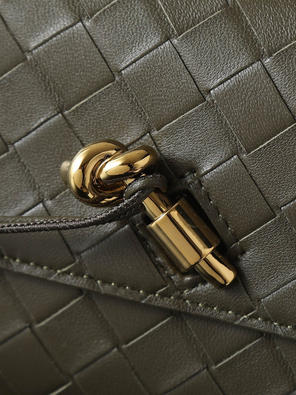 Ezyycart Bags Bottegan Luxury Bag --91392