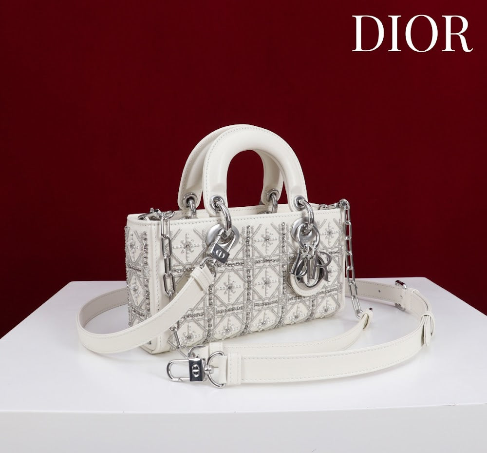 Anum Bags Diorn Luxury Bag --114700