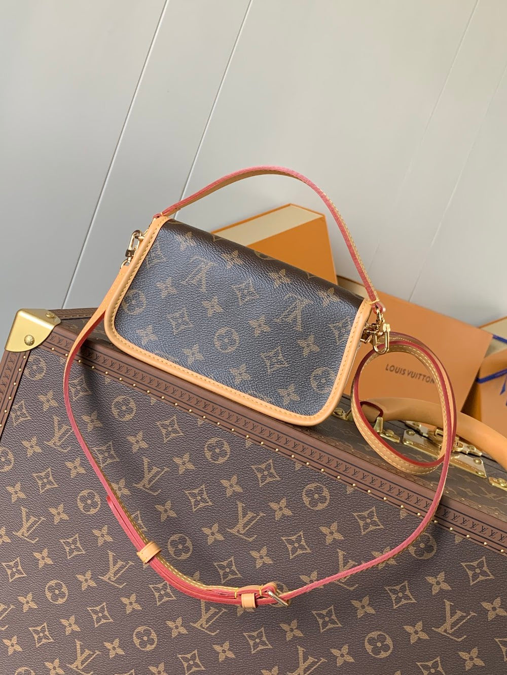 Anum Bags LVn Luxury Bag --79941