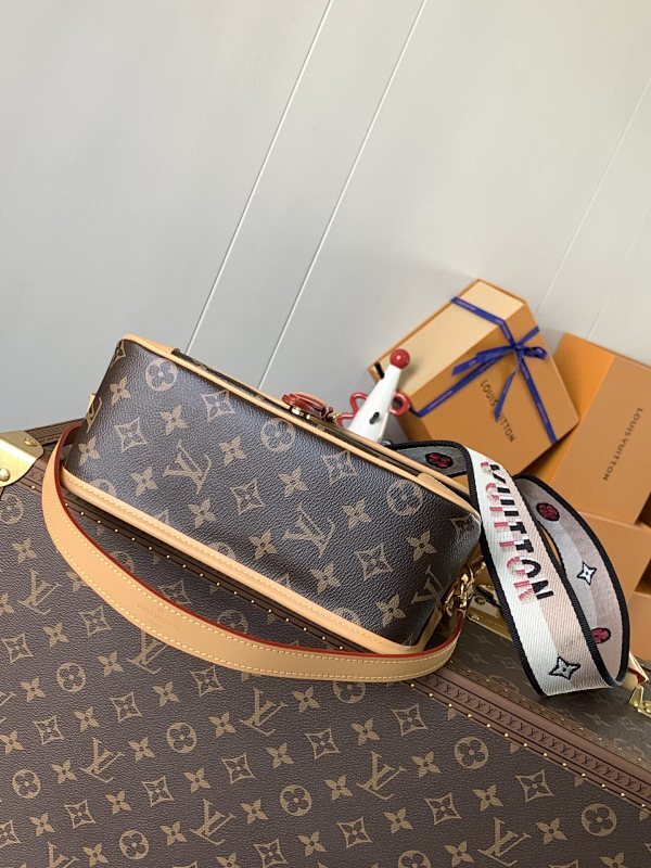 Anum Bags LVn Luxury Bag --79244