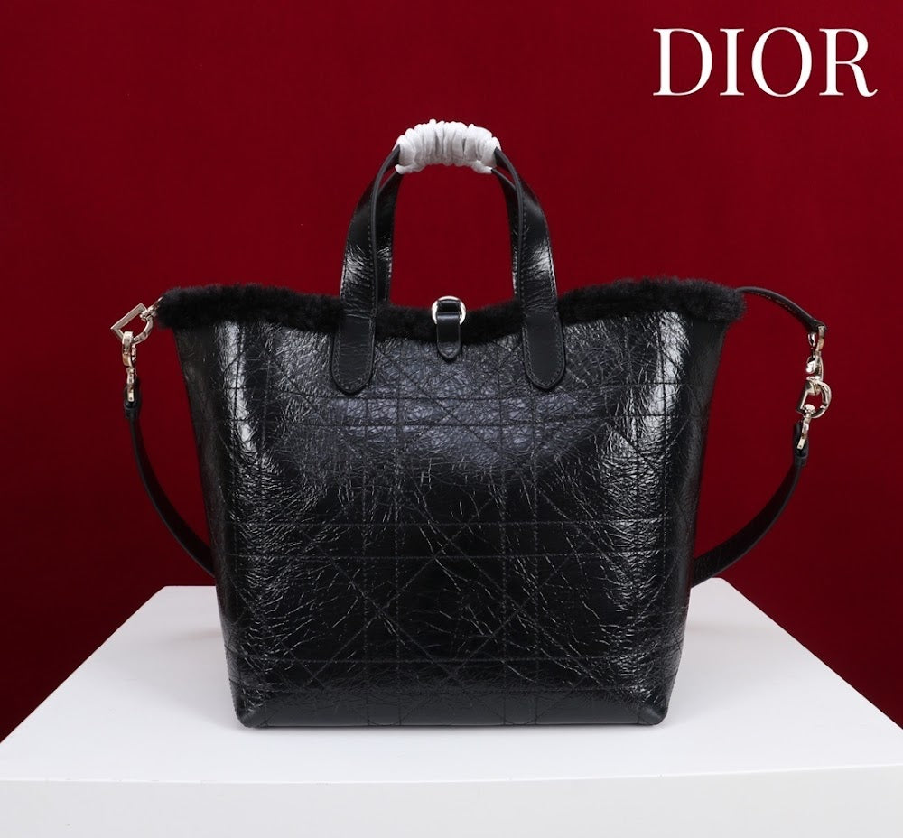 Ezyycart Bags Diorn Luxury Bag --116121