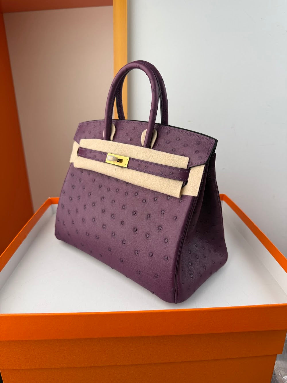 Anum Bags Hermesn Luxury Bag --116761