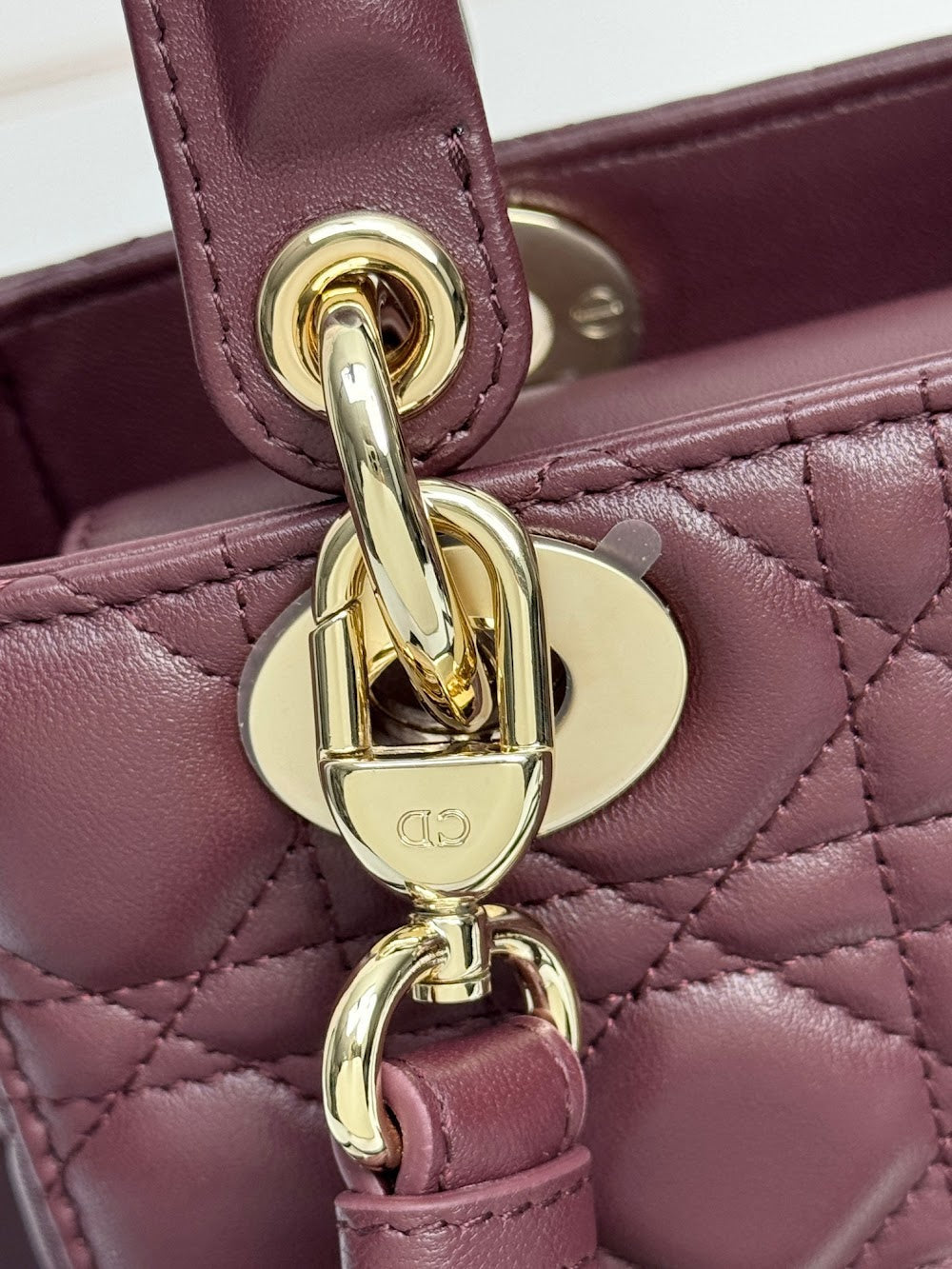 Anum Bags Diorn Luxury Bag --114945