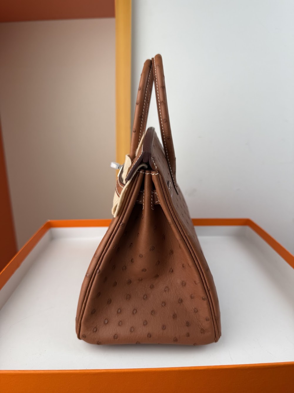 Anum Bags Hermesn Luxury Bag --116769