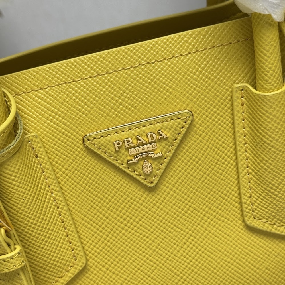 Ezyycart Bags Pradn Luxury Bag --102318