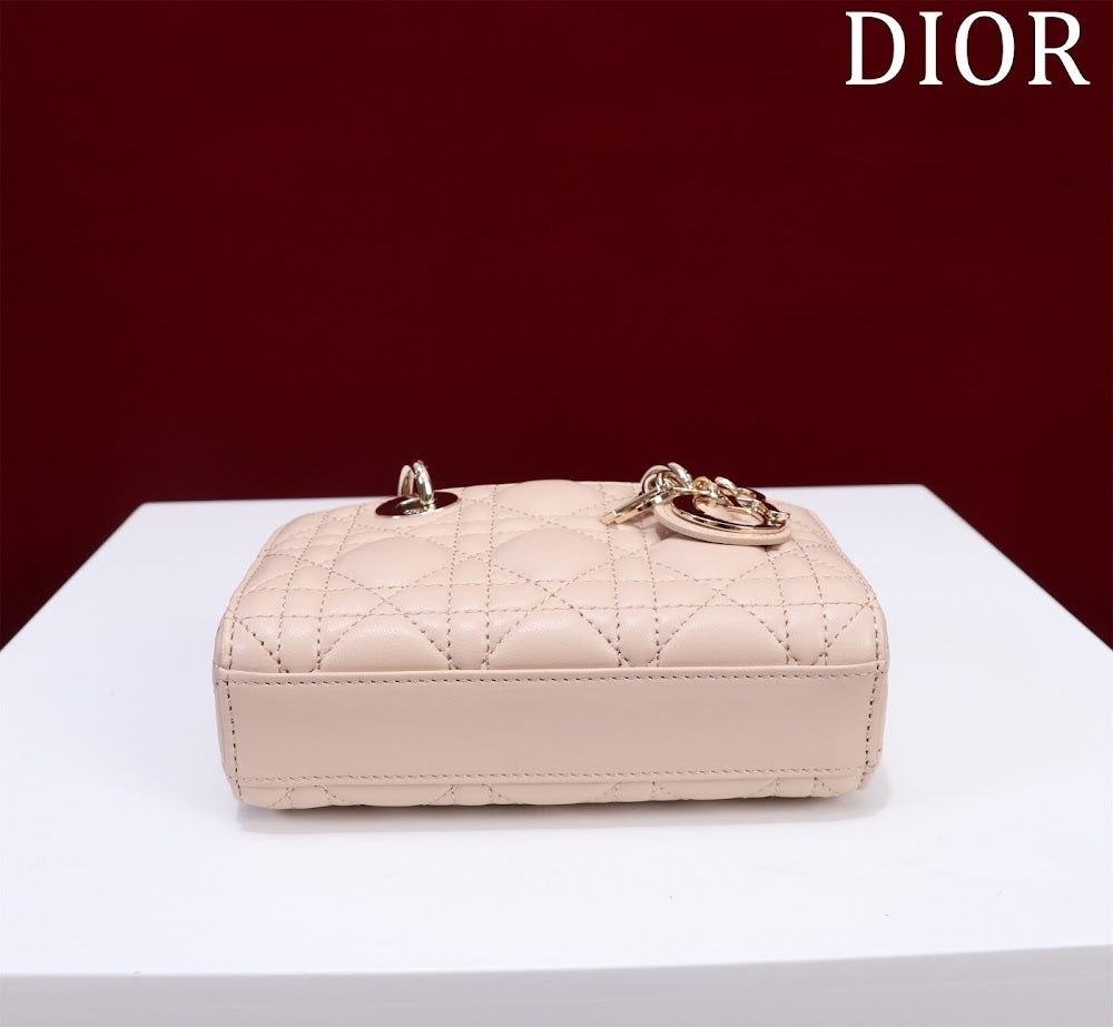 Ezyycart Bags Diorn Luxury Bag --116448