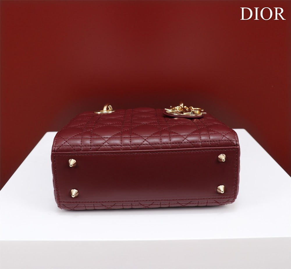 Ezyycart Bags Diorn Luxury Bag --115921