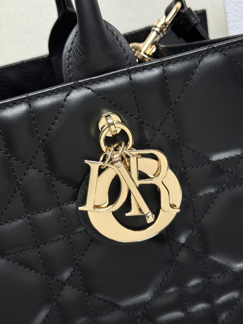 Ezyycart Bags Diorn Luxury Bag --115248