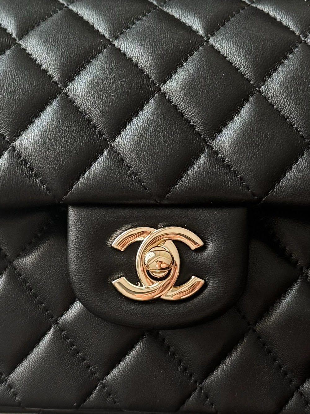 Anum Bags CHn Luxury Bag --113040