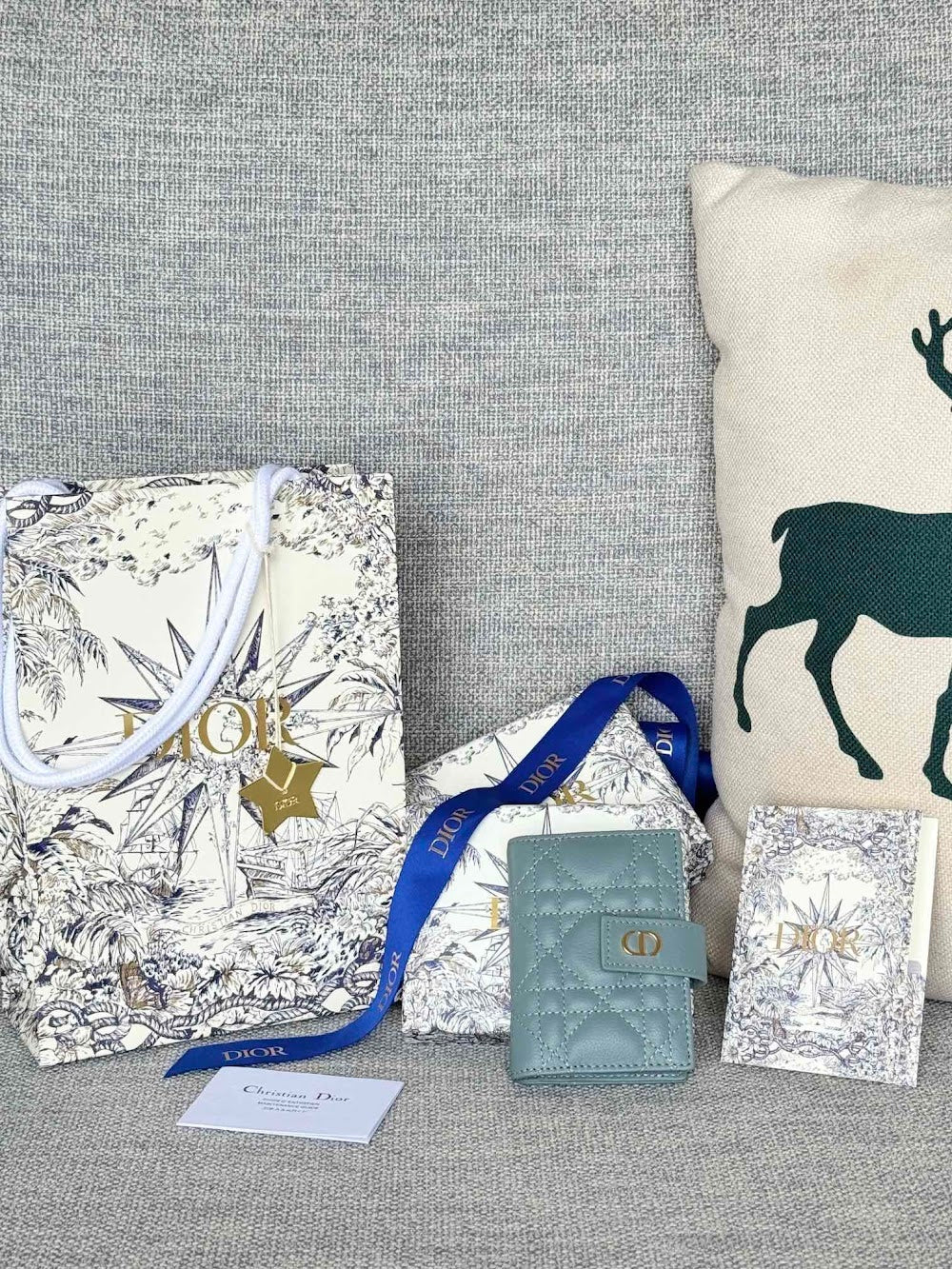 Anum Bags Diorn Luxury Bag --114580