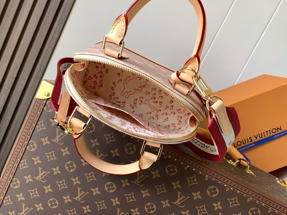 Anum Bags LVn Luxury Bag --80363