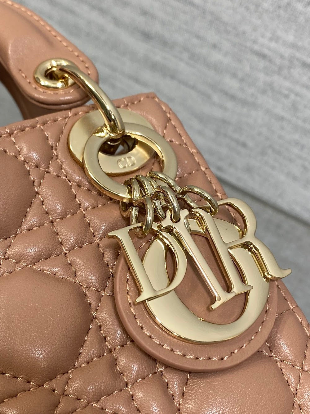 Anum Bags Diorn Luxury Bag --114976