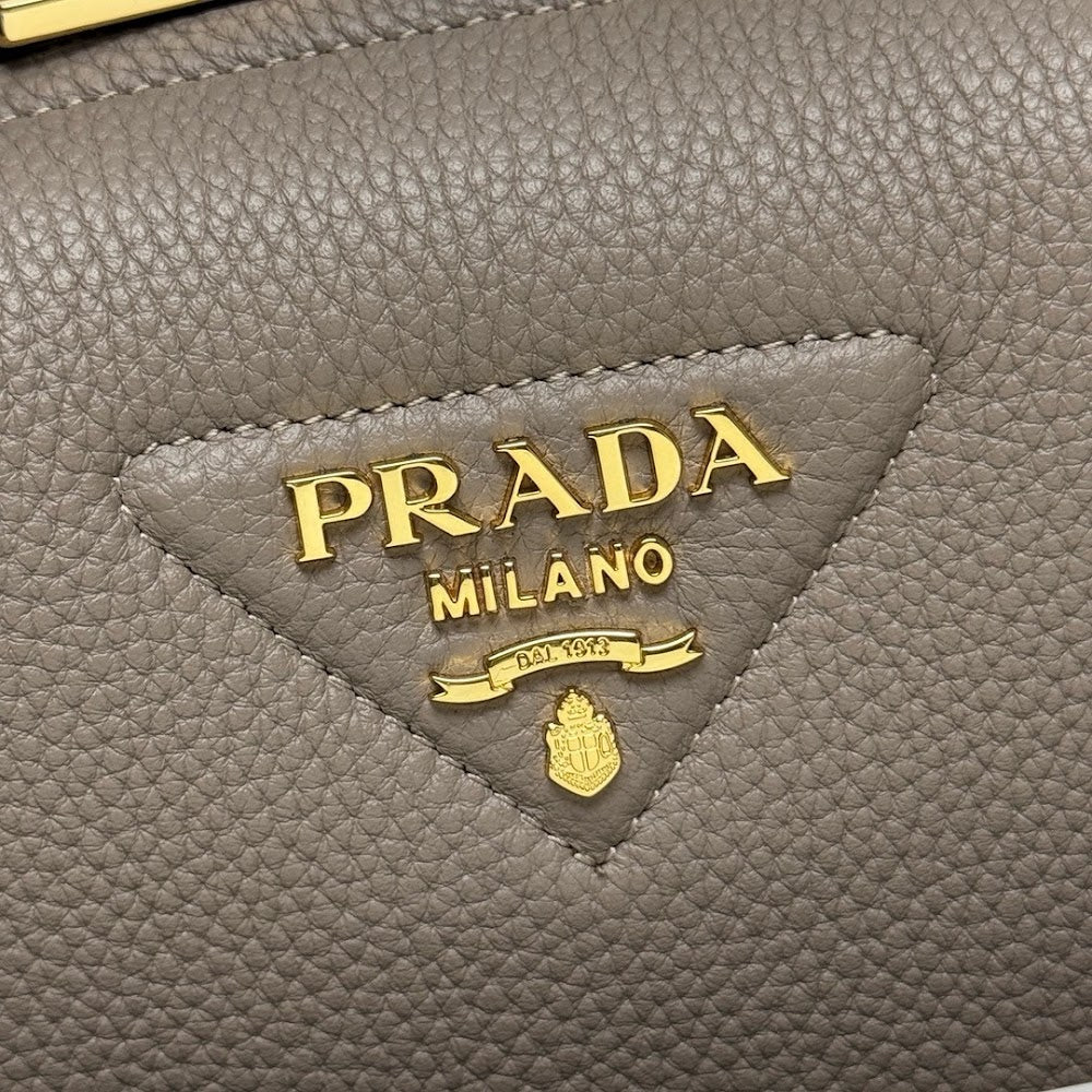 Ezyycart Bags Pradn Luxury Bag --101789