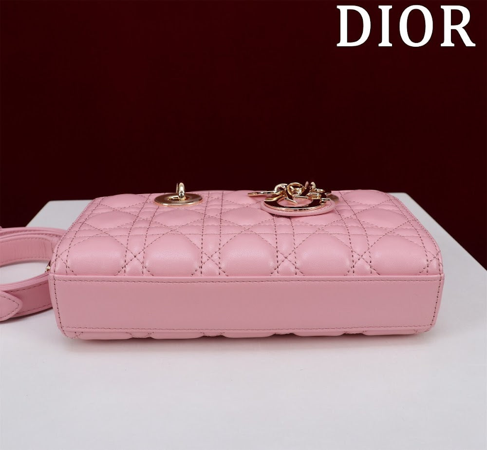 Anum Bags Diorn Luxury Bag --114747