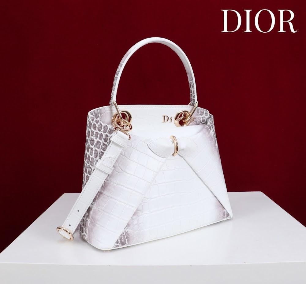Ezyycart Bags Diorn Luxury Bag --114788