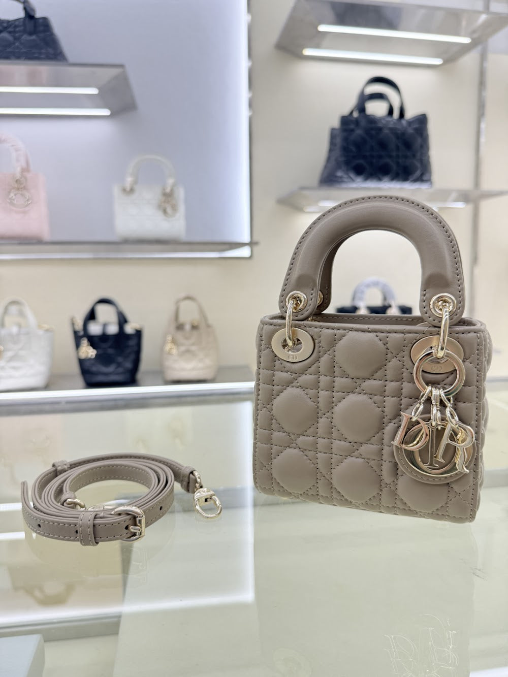 Ezyycart Bags Diorn Luxury Bag --115431