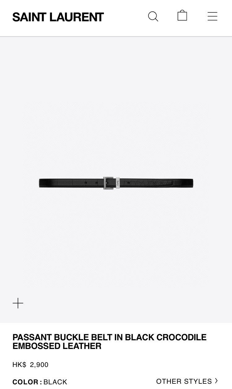 Ezyycart Bags YSLn Luxury Belt --107672