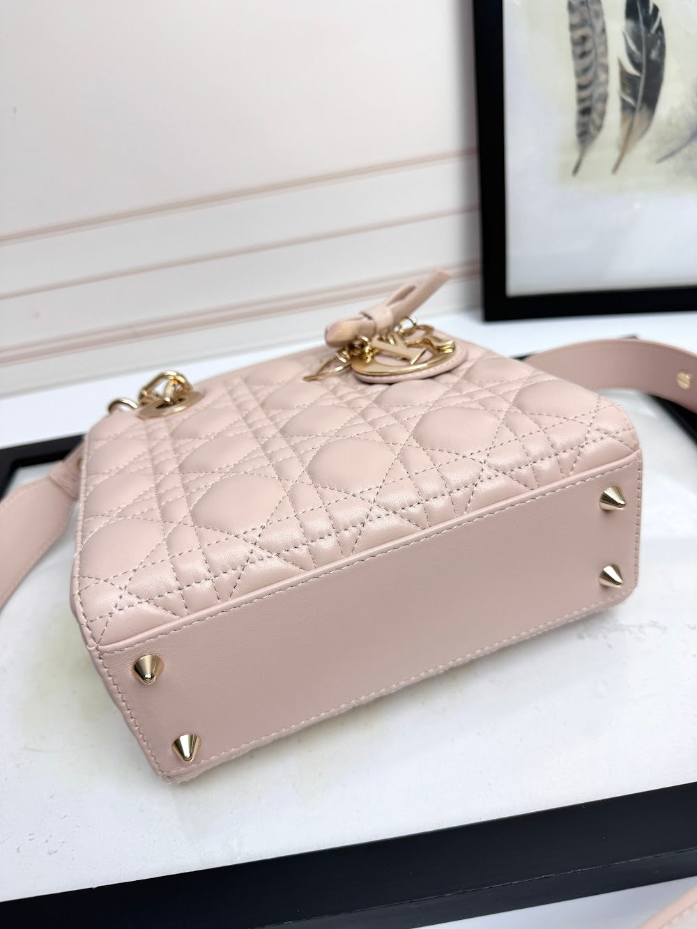 Anum Bags Diorn Luxury Bag --114947