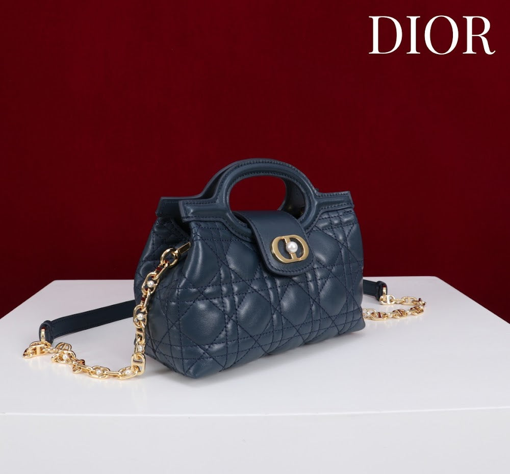 Anum Bags Diorn Luxury Bag --114558