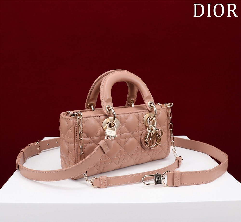 Anum Bags Diorn Luxury Bag --114748