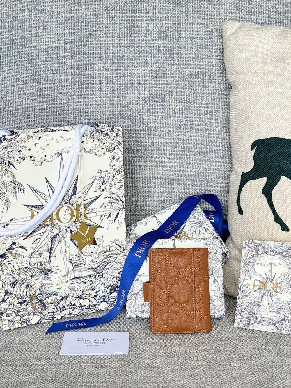 Anum Bags Diorn Luxury Bag --114581