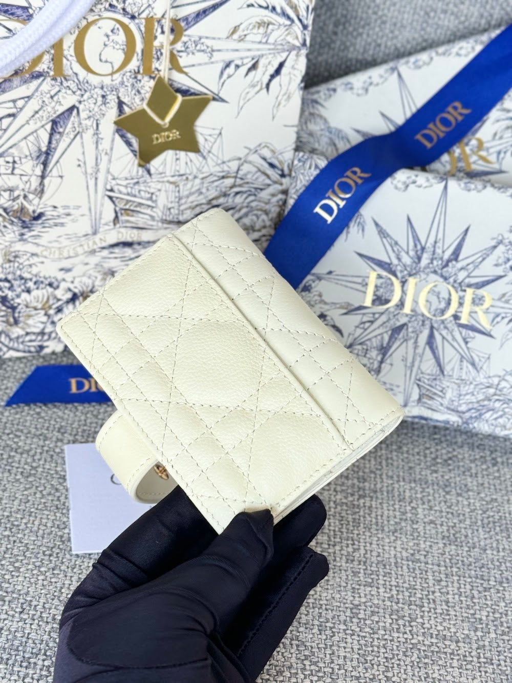 Anum Bags Diorn Luxury Bag --114576