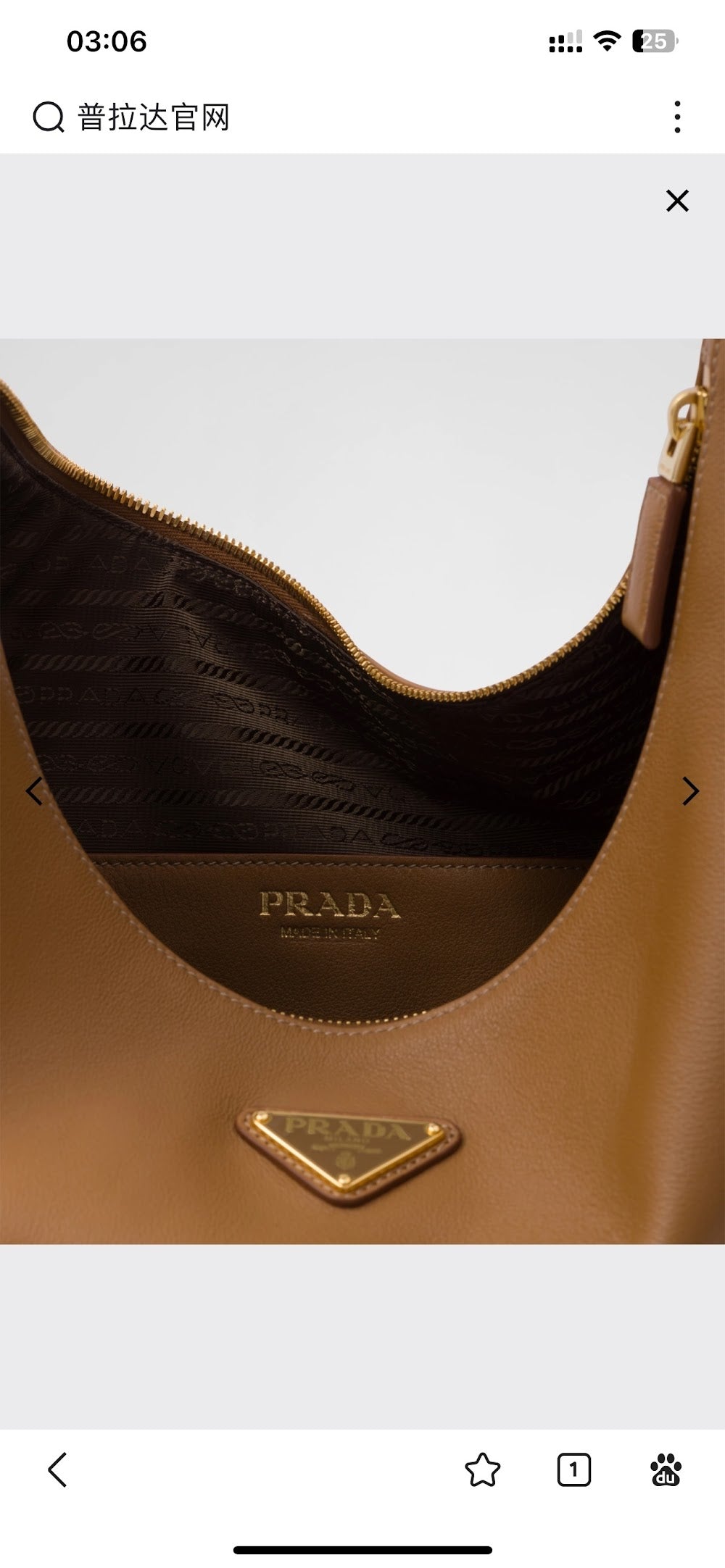 Ezyycart Bags Pradn Luxury Bag --102602