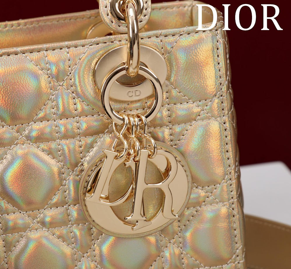 Ezyycart Bags Diorn Luxury Bag --115942