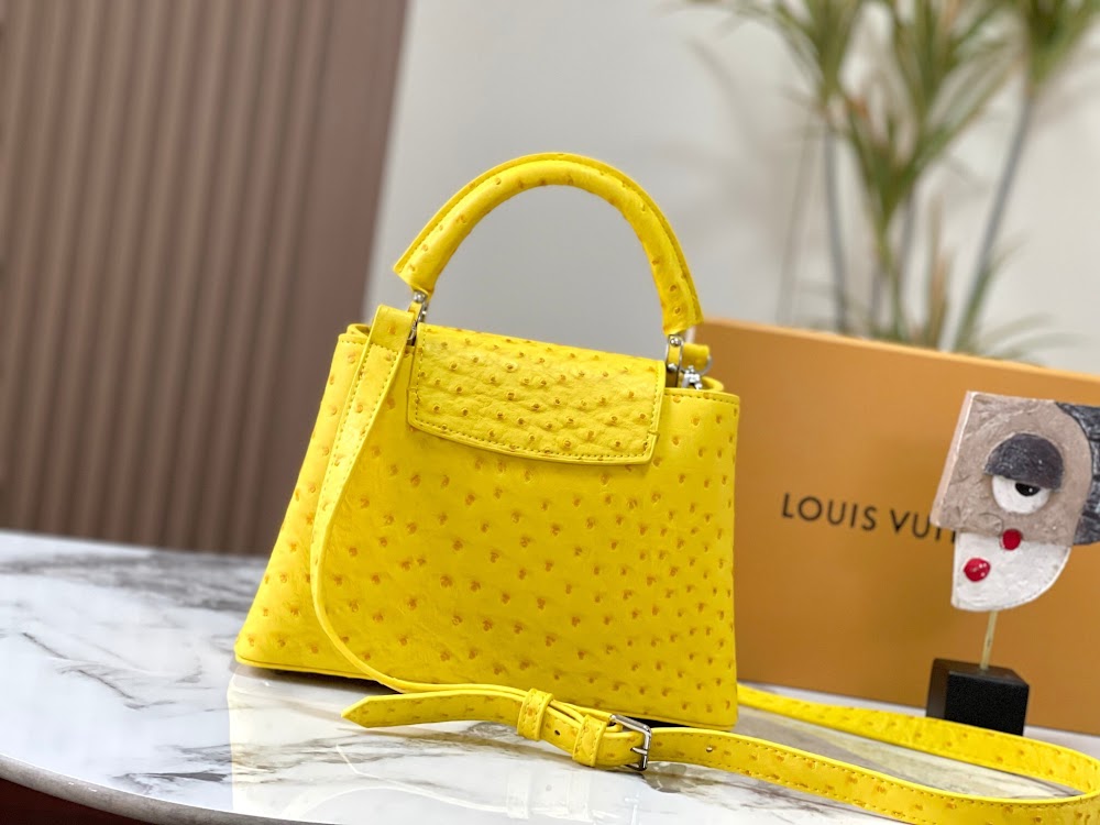 Anum Bags LVn Luxury Bag --80708