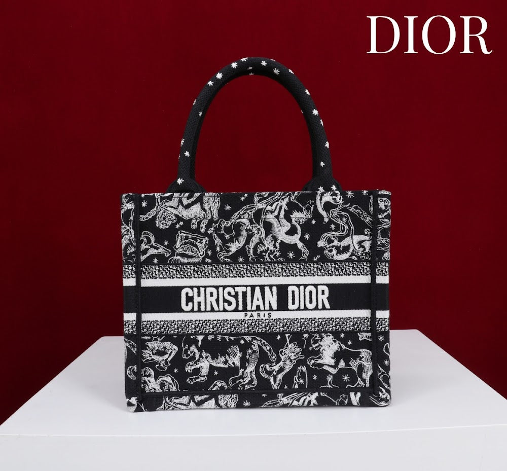 Anum Bags Diorn Luxury Bag --114894