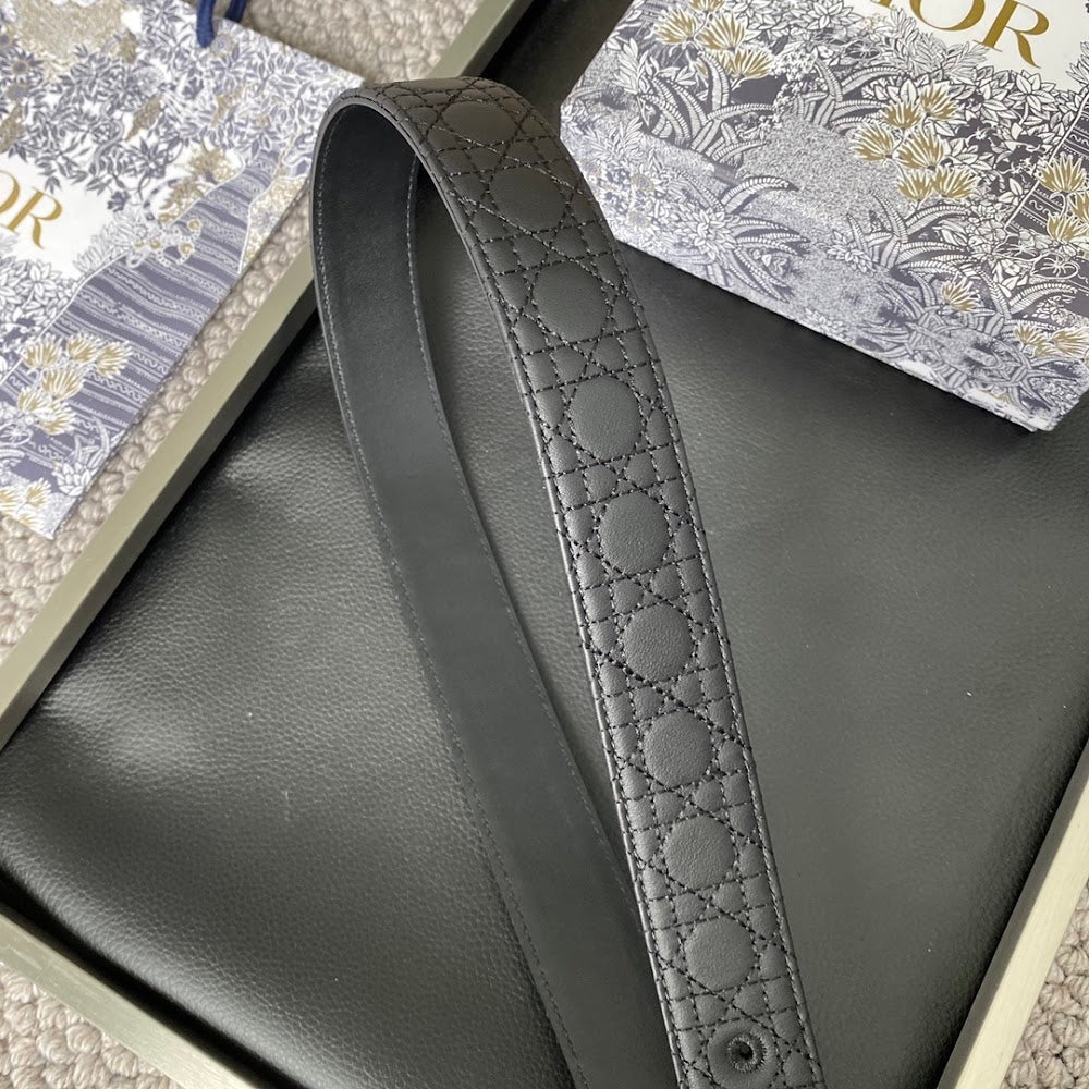 Anum Bags Diorn Luxury Belt --104866
