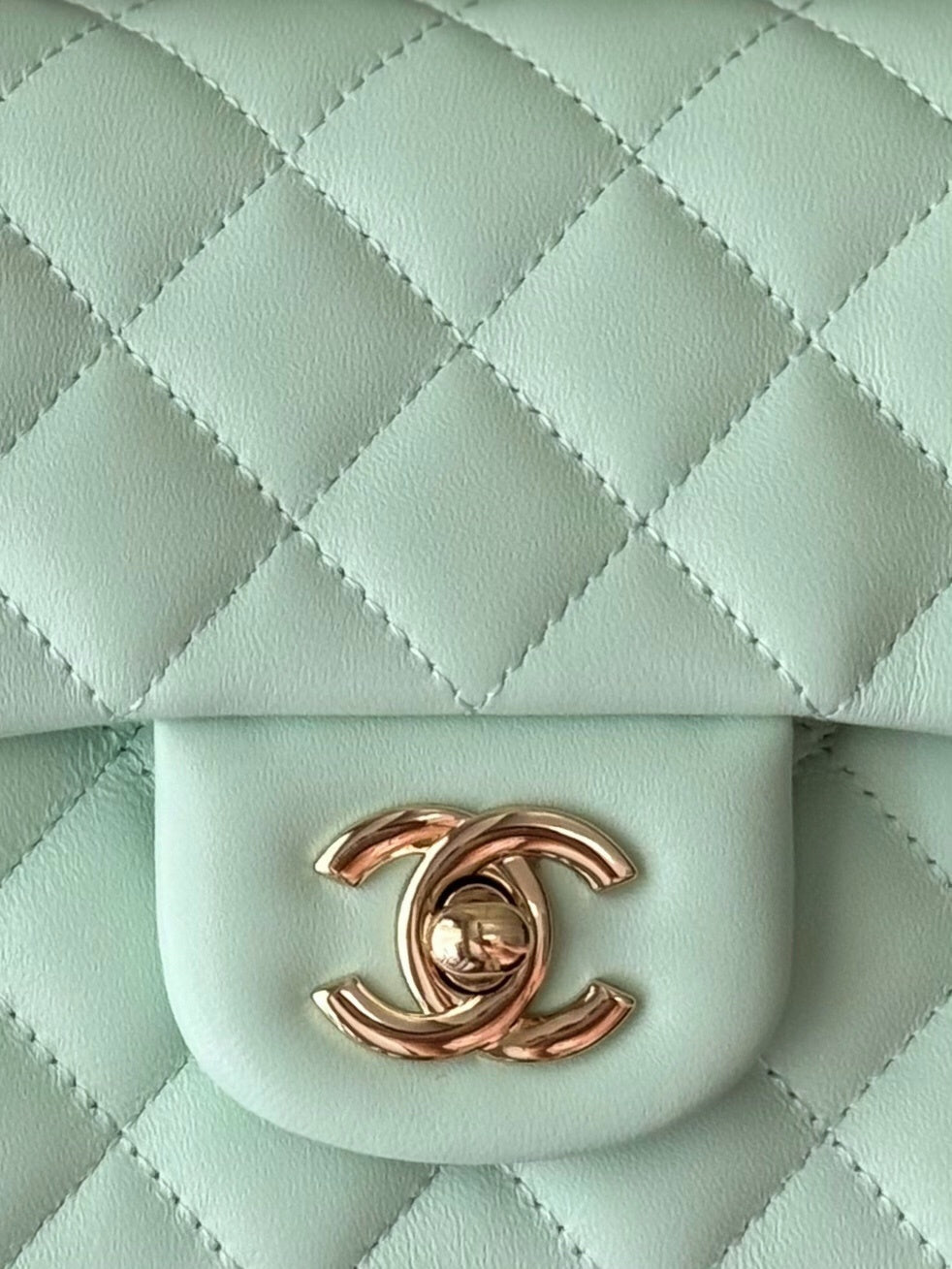 Anum Bags CHn Luxury Bag --112994