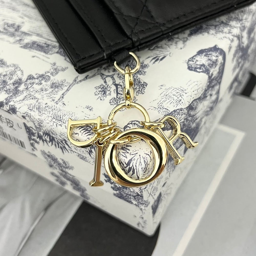 Ezyycart Bags Diorn Luxury Bag --115841