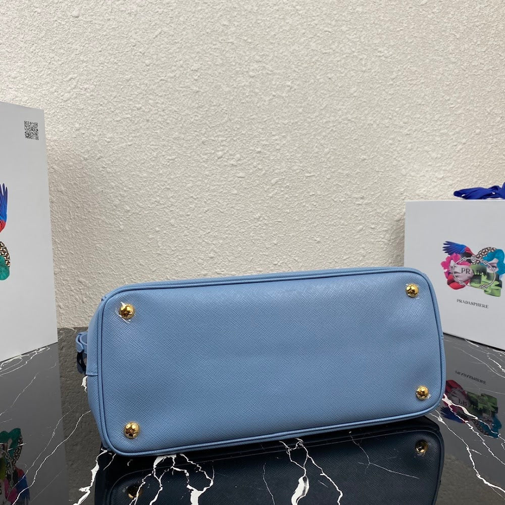 Ezyycart Bags Pradn Luxury Bag --102709